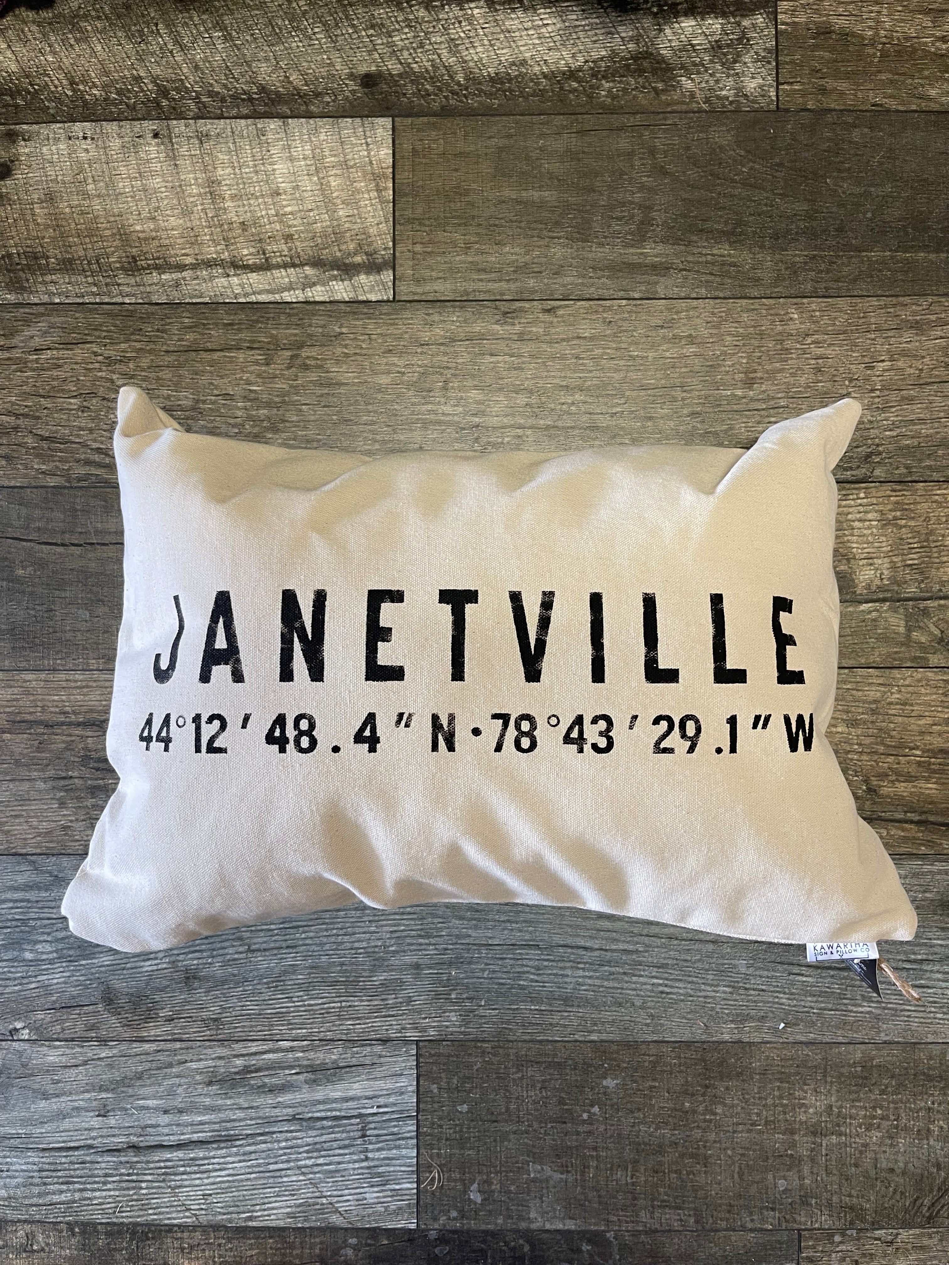 JANETVILLE co-ordinates pillow 14 x 20