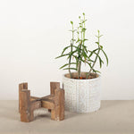 Load image into Gallery viewer, Wooden Flower Pot Stand
