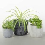Load image into Gallery viewer, Tricolor Flower Pot, Set of 3
