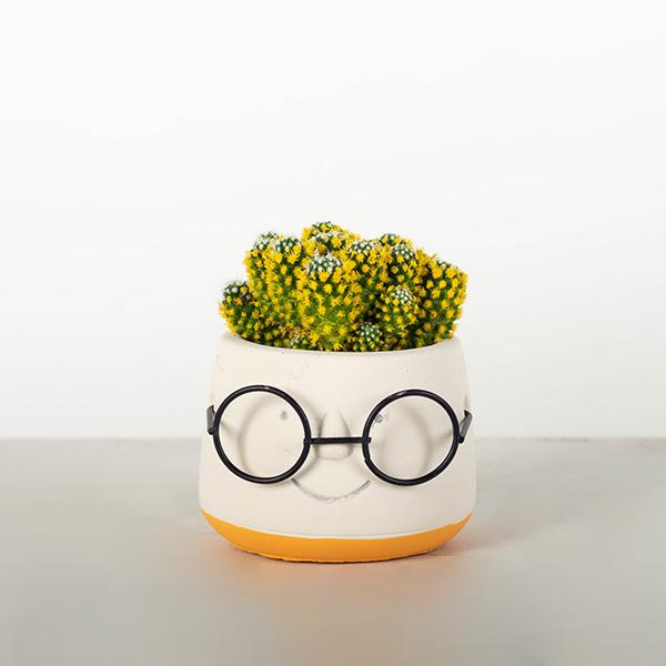 Face with Glasses Flower Pot, Small