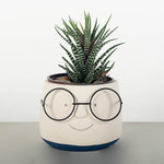 Load image into Gallery viewer, Face with Glasses Flower Pot, Medium
