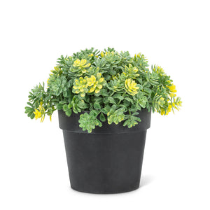 Petite Flower Plant Pot 5" H
